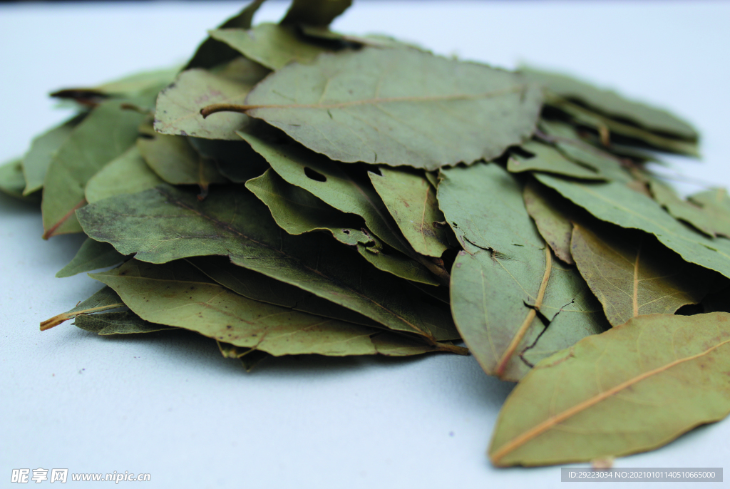 香叶   香料    食物原料