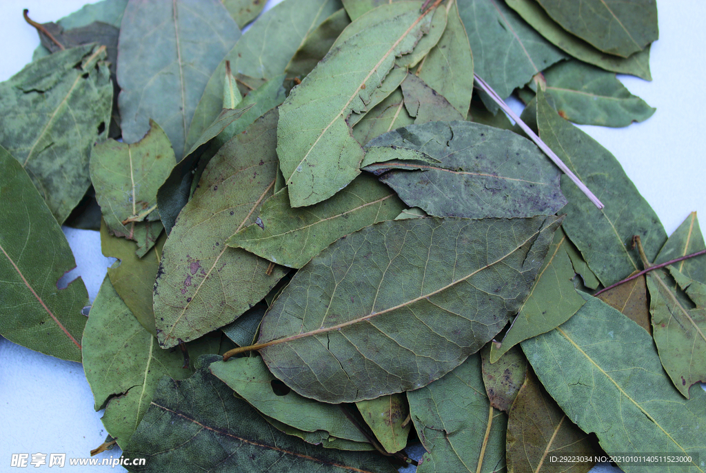 香叶   香料    食物原料