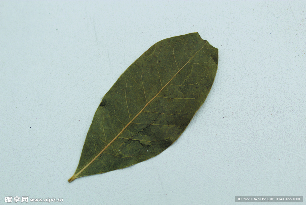 香叶   香料    食物原料