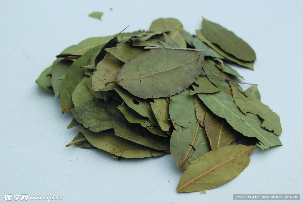 香叶   香料    食物原料