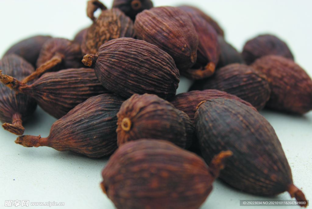 草果   香料  食物原料