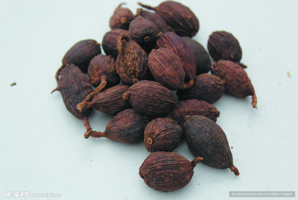草果   香料  食物原料