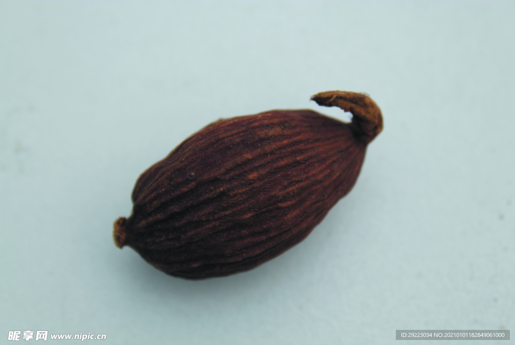 草果   香料  食物原料