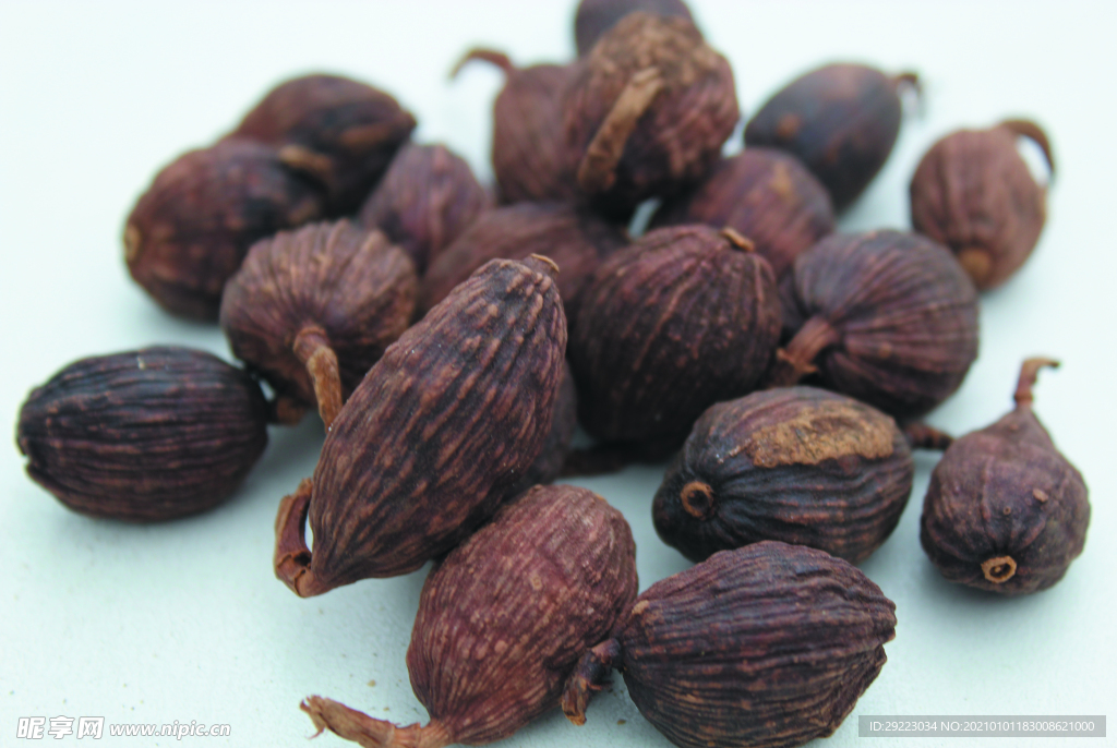 草果   香料  食物原料