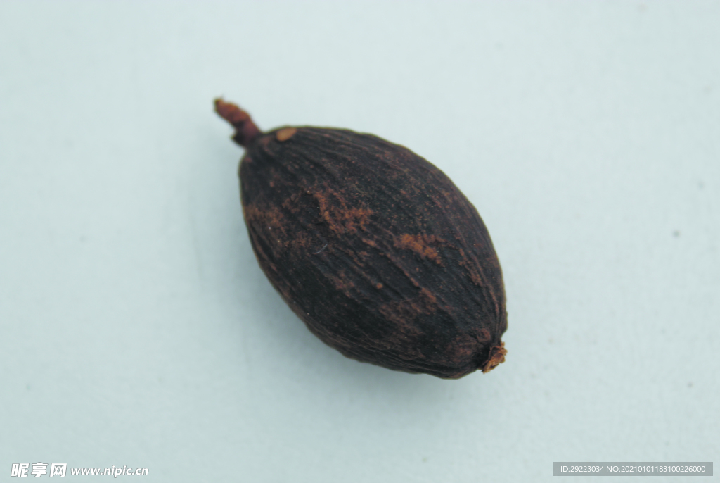 草果   香料  食物原料