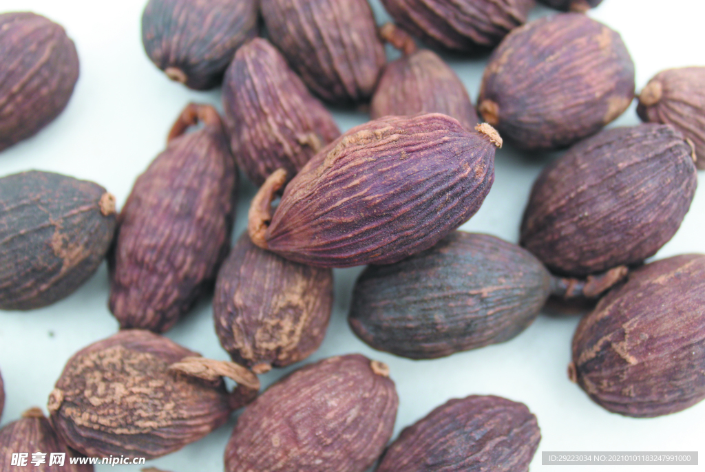 草果   香料  食物原料