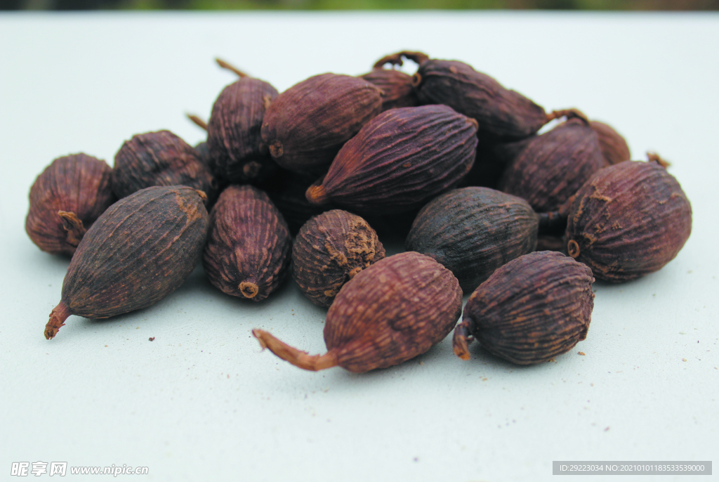 草果   香料  食物原料