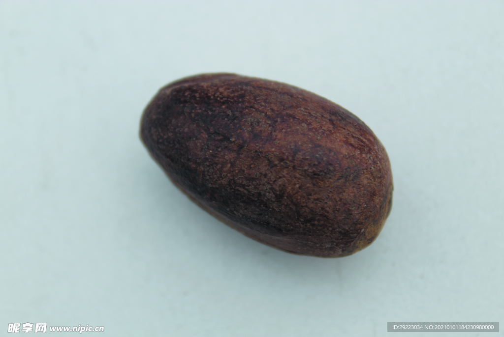 香果  香料  食物原料