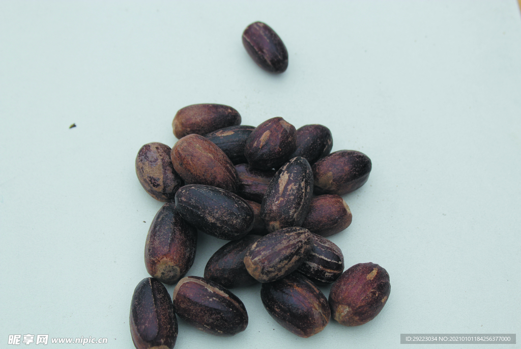 香果  香料  食物原料