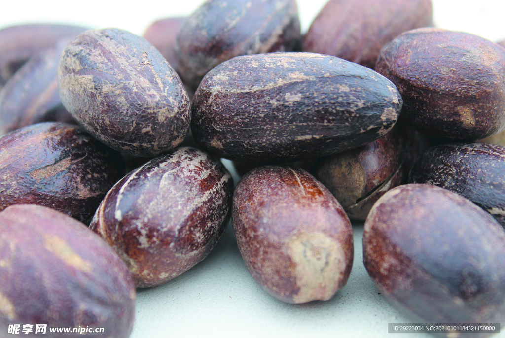 香果  香料  食物原料