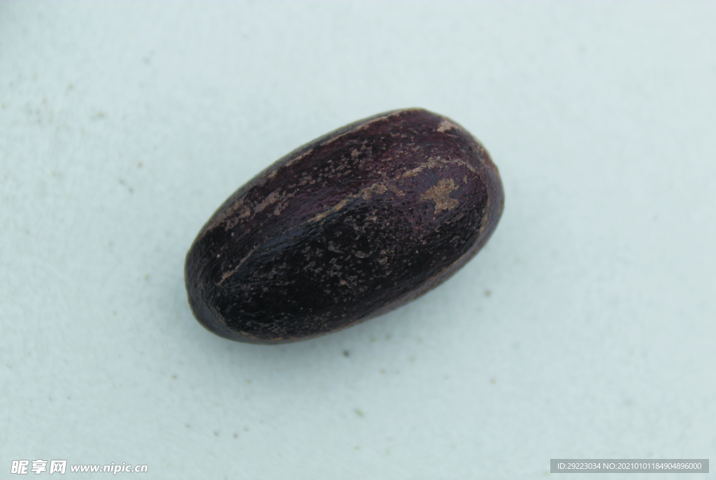 香果  香料  食物原料