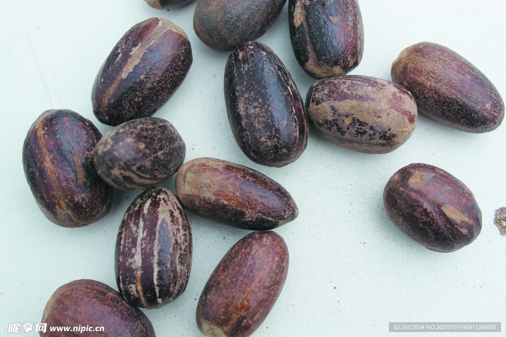 香果  香料  食物原料