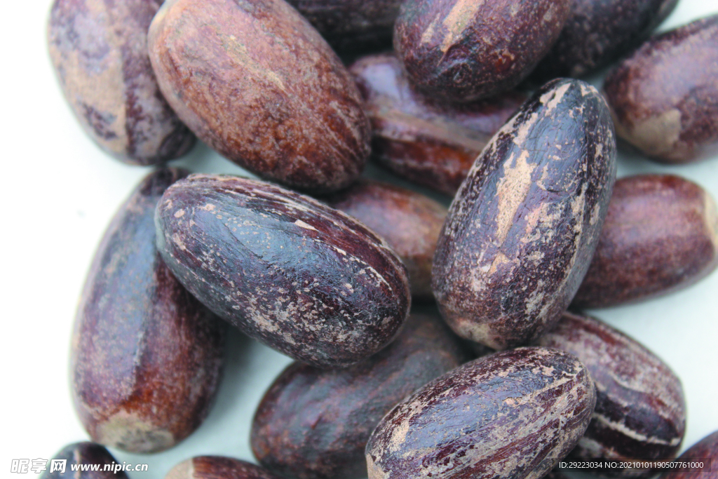 香果  香料  食物原料