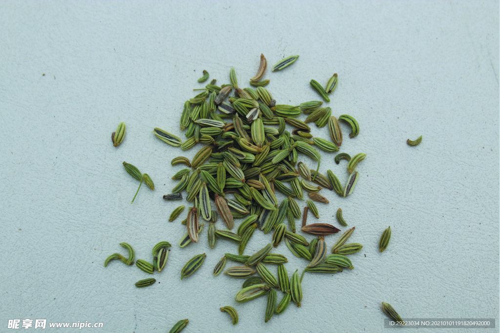茴香   香料   食物原料