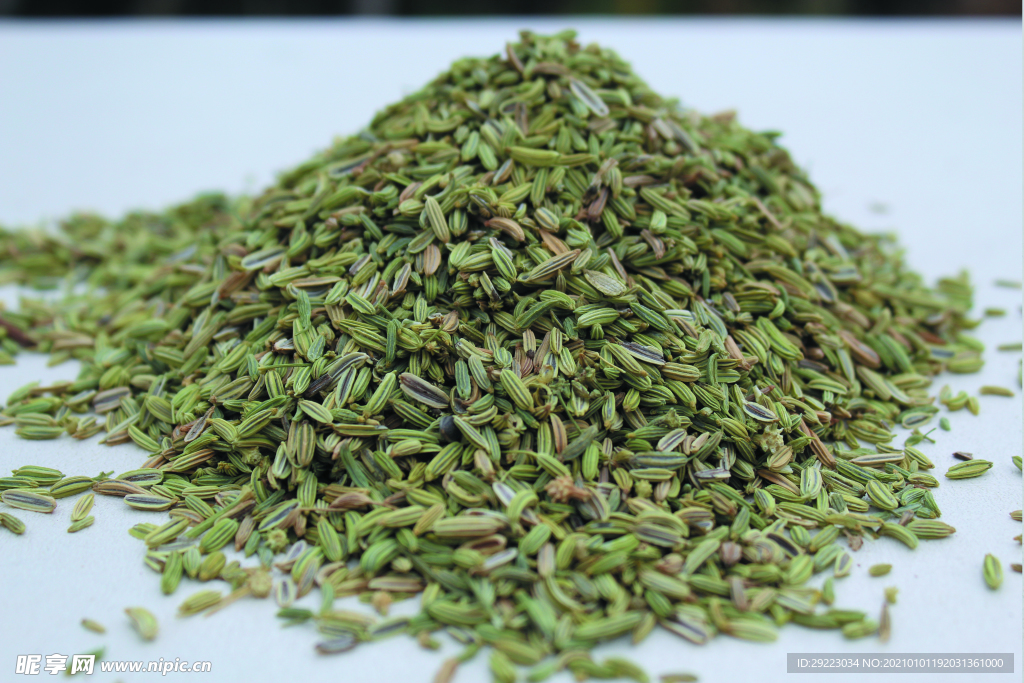 茴香   香料   食物原料