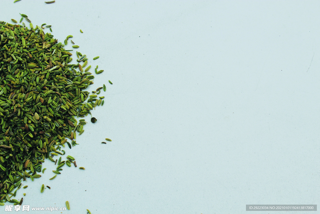 茴香   香料   食物原料