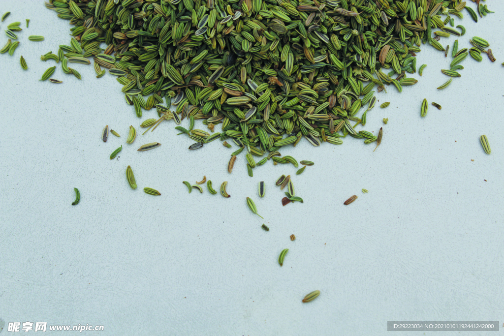 茴香   香料   食物原料