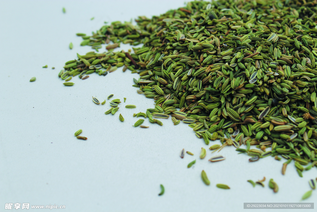 茴香   香料   食物原料