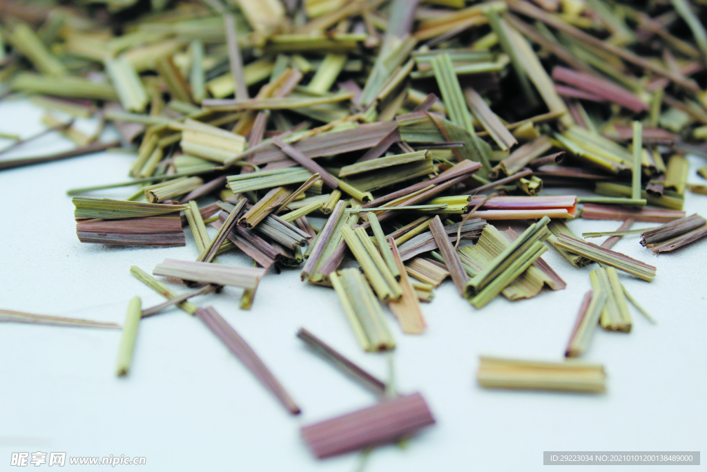 香草  香料  食物原料