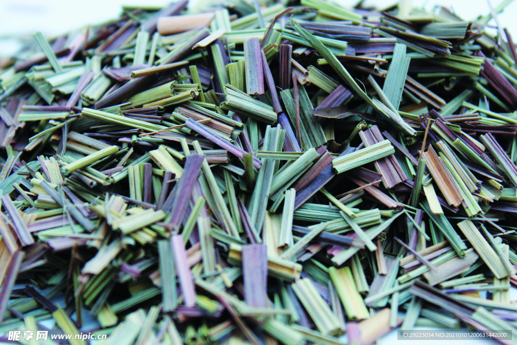 香草  香料  食物原料