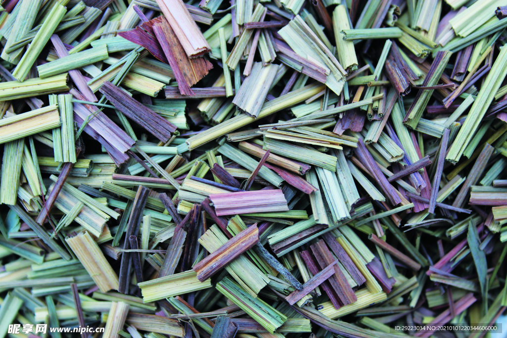 香草  香料  食物原料