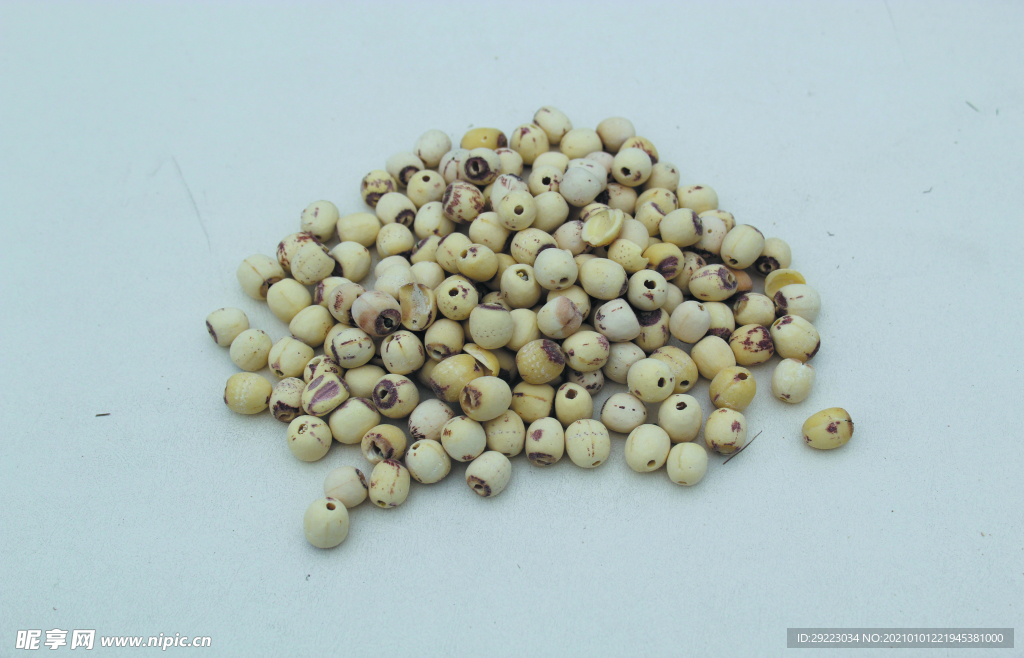 莲子       食品原料