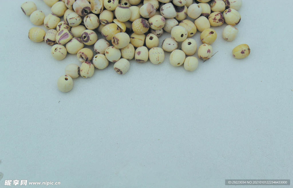 莲子       食品原料