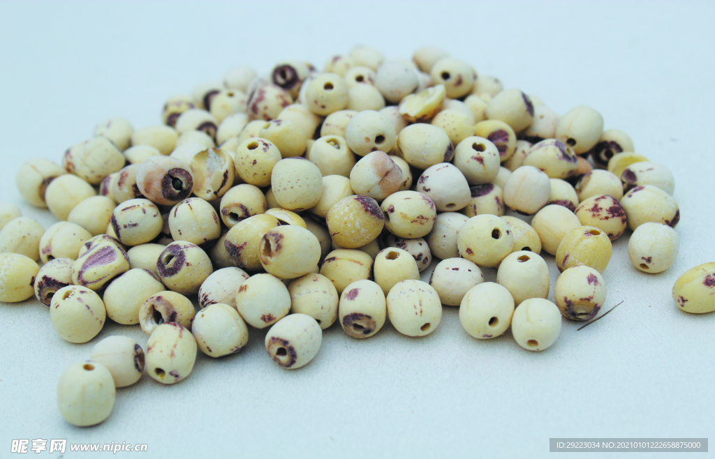 莲子       食品原料