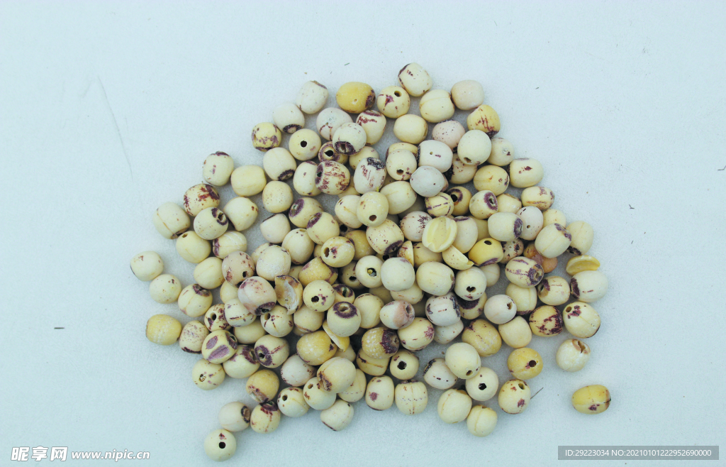 莲子       食品原料