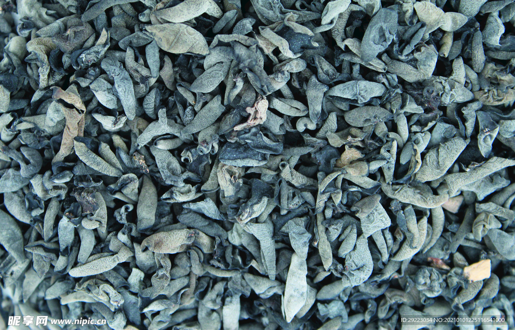 木耳   黑木耳   小木耳