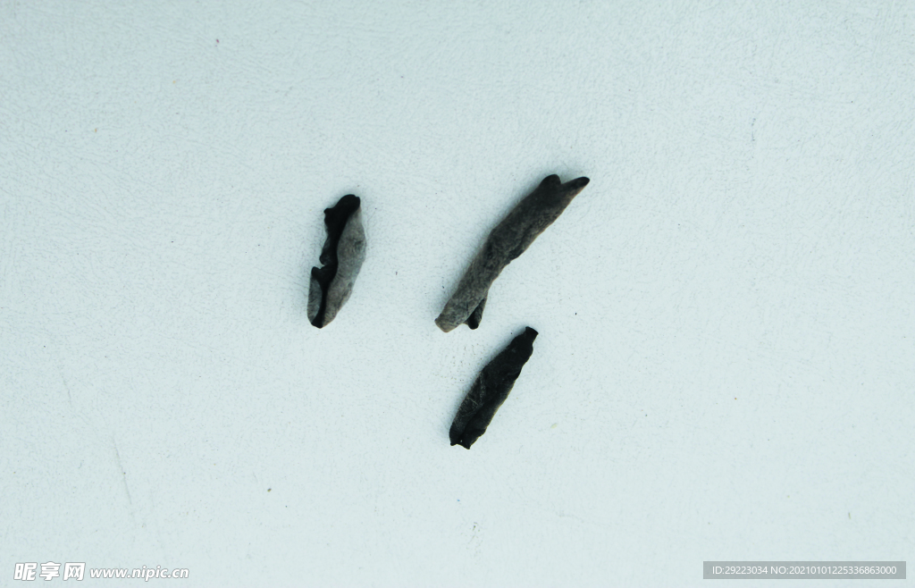 木耳   黑木耳   小木耳