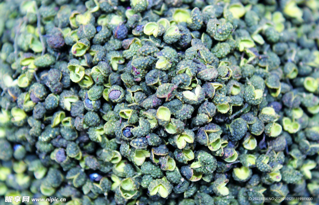 花椒   青花椒   干货