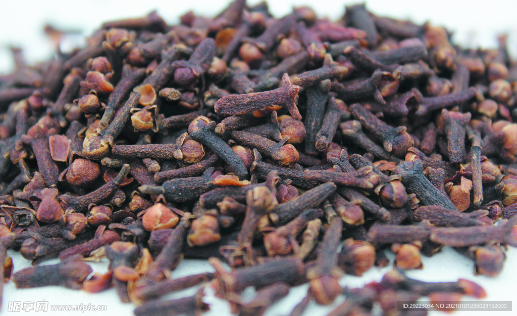 丁香  香料   食物原料