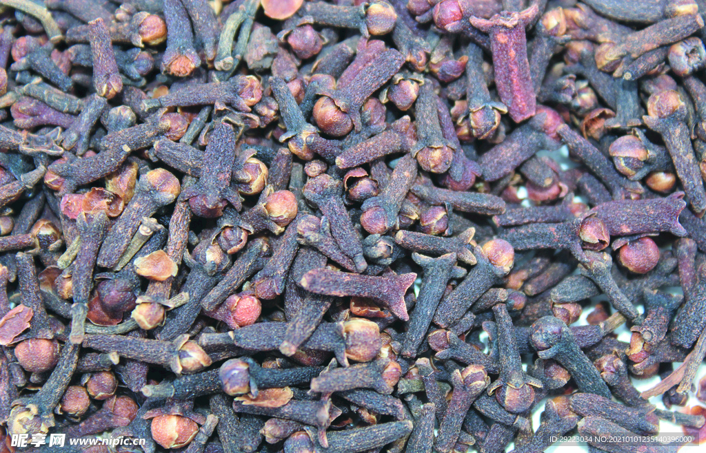 丁香  香料   食物原料