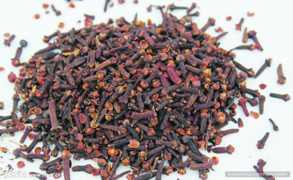 丁香  香料   食物原料