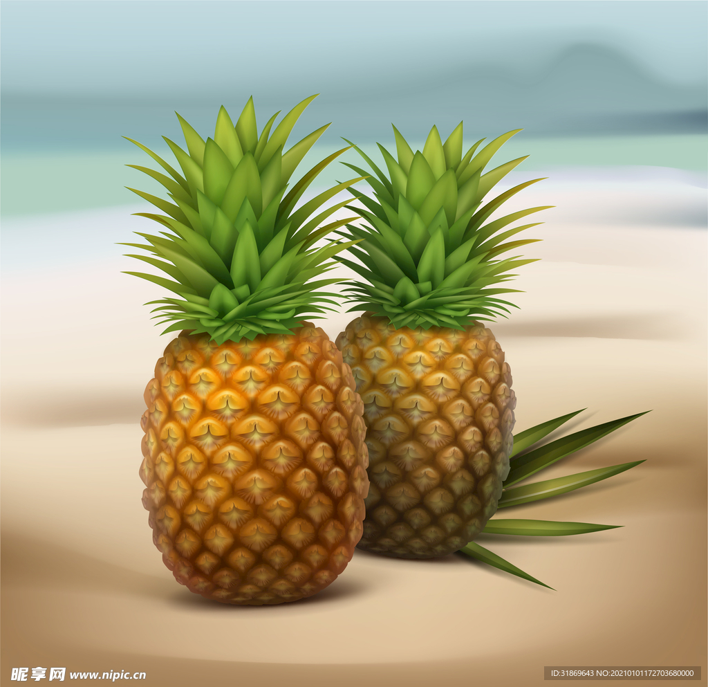 凤梨 菠萝 水果