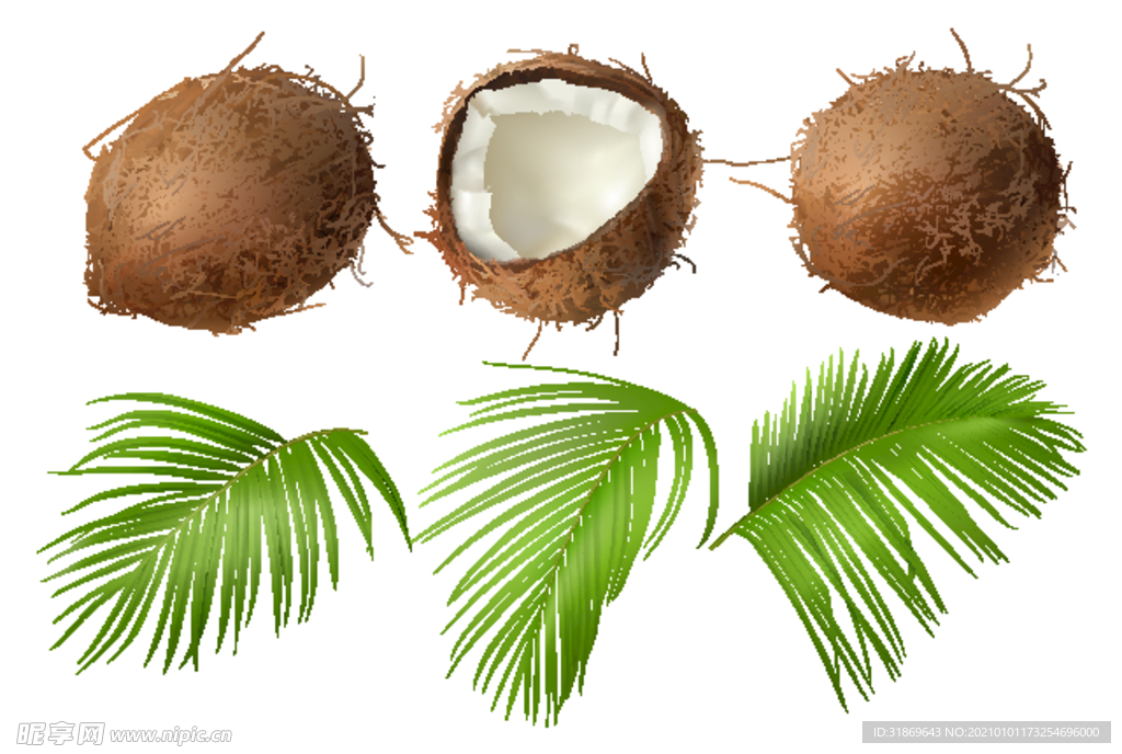 椰子 水果 蔬菜