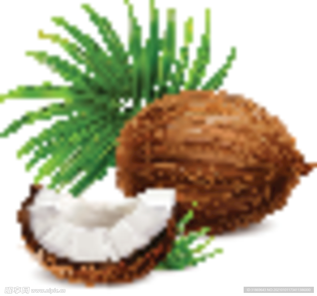 椰子 水果 蔬菜