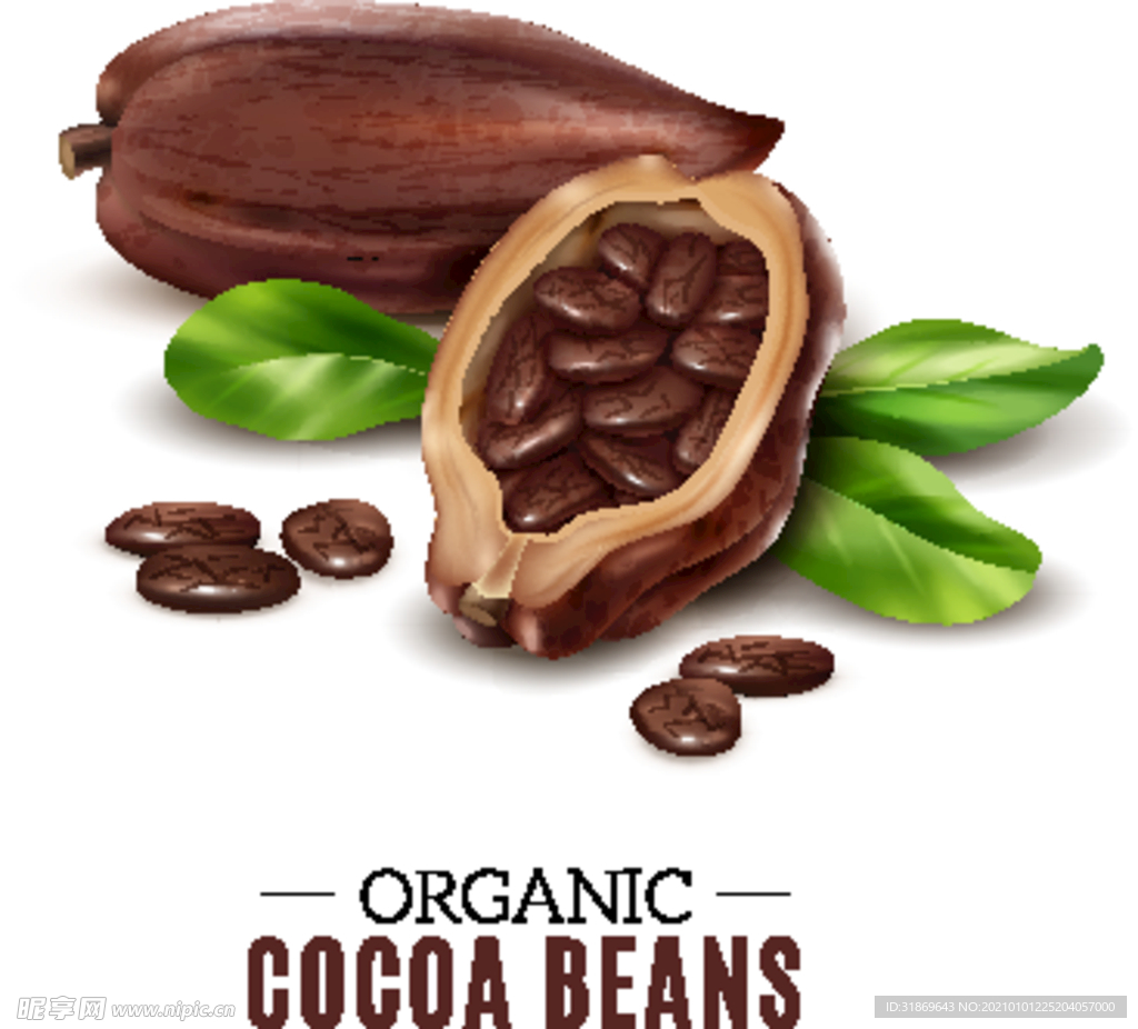 巧克力 水果 蔬菜