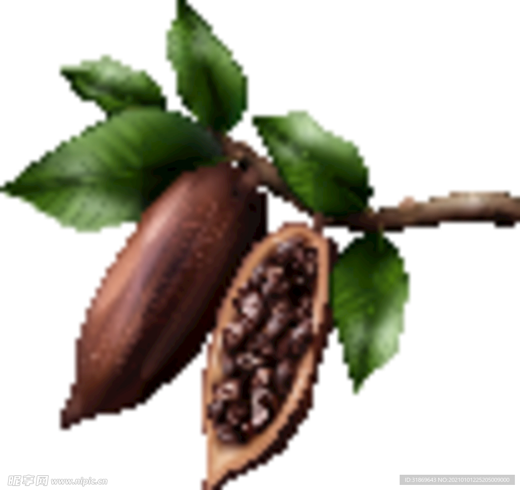 巧克力 水果 蔬菜