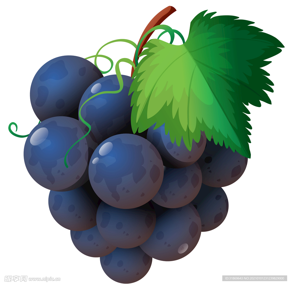 葡萄 水果 蔬菜