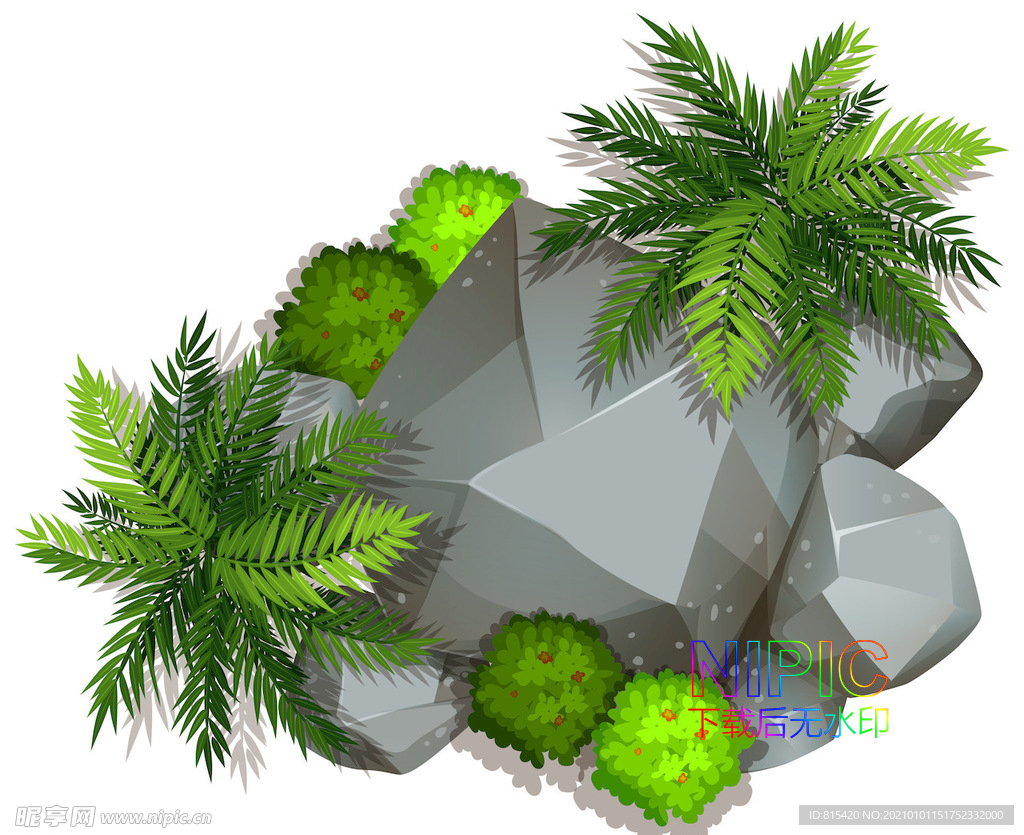 植物顶视图
