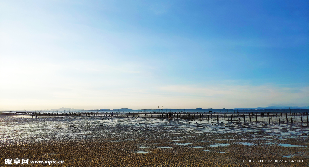 蓝天滩涂沙滩岸边