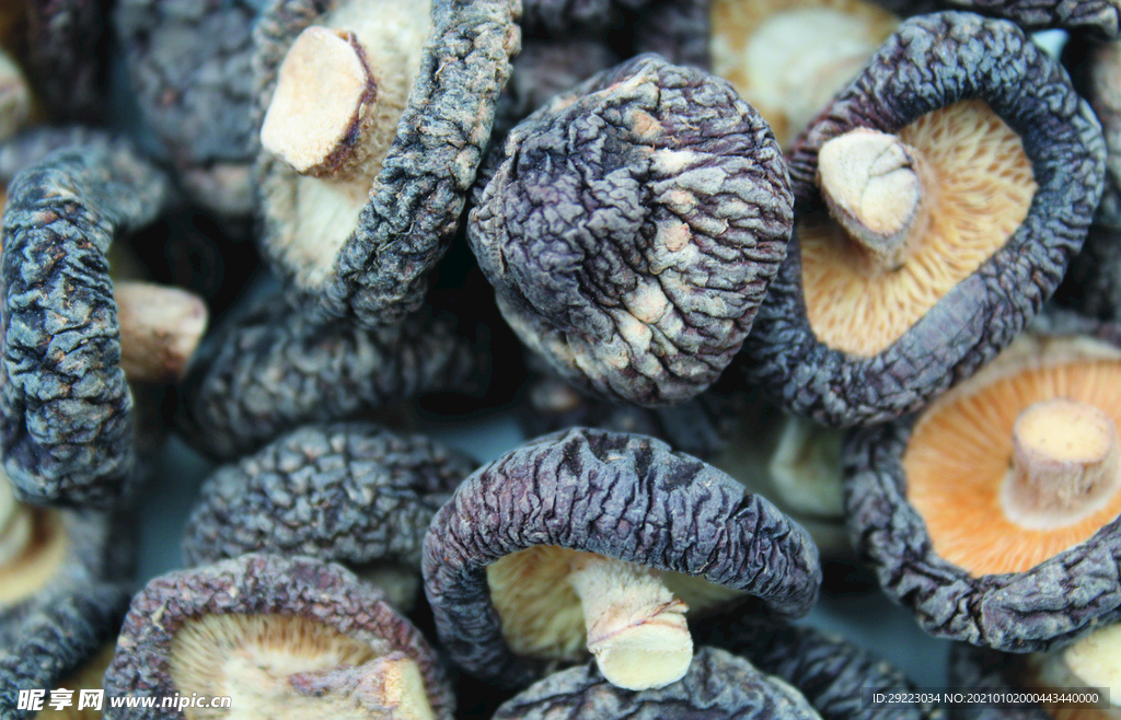 香菇    蘑菇    干货