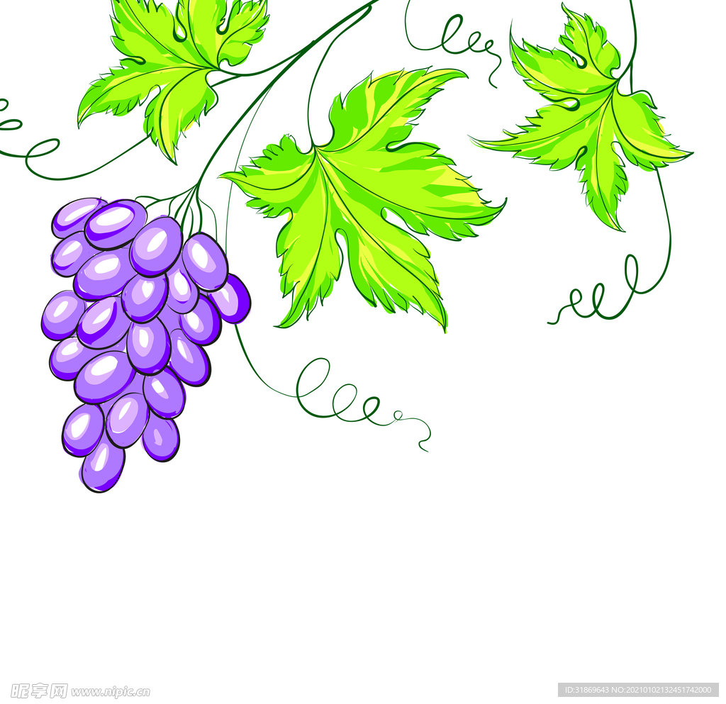 葡萄 水果 蔬菜