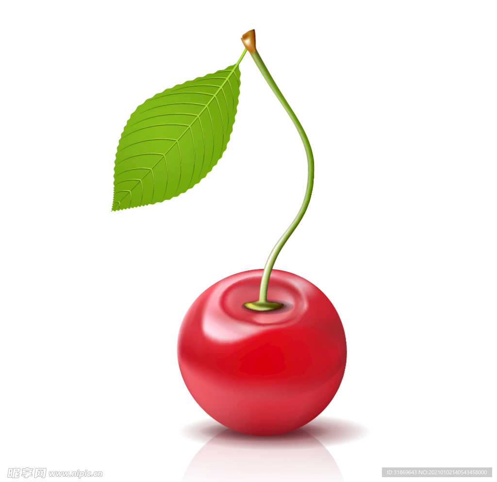 车厘子 水果 蔬菜