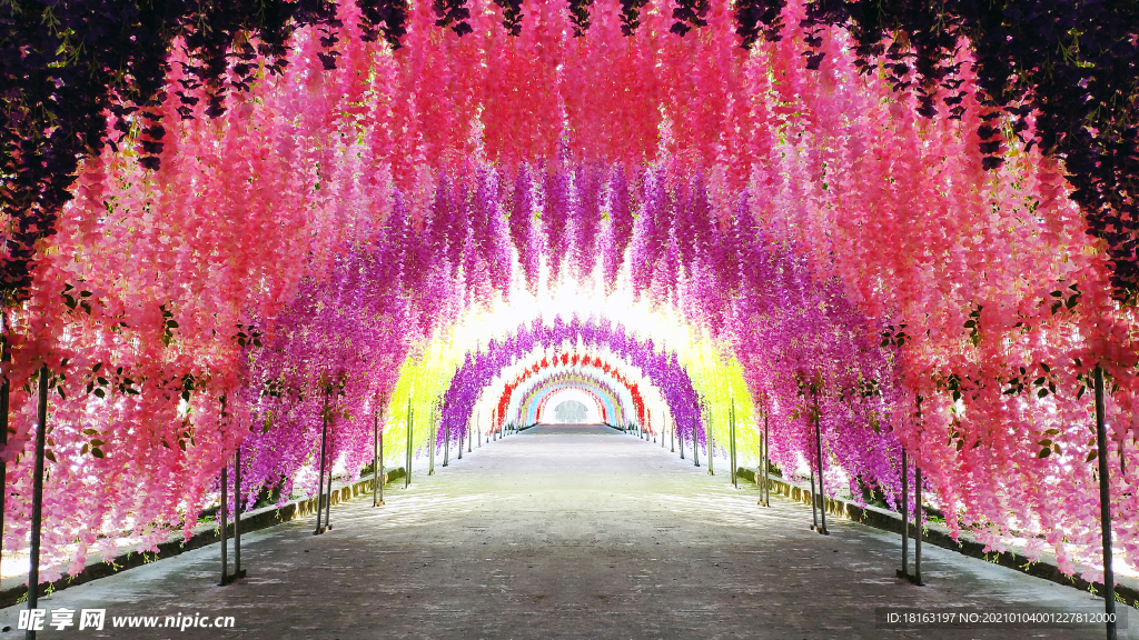 旅游景点网红花海过道