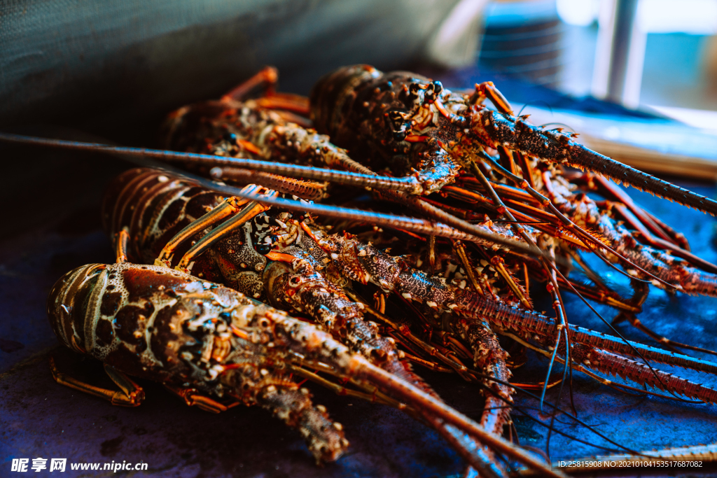 龙虾