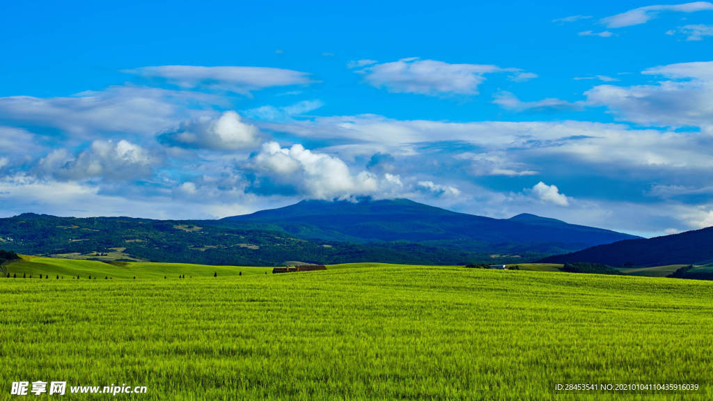风景