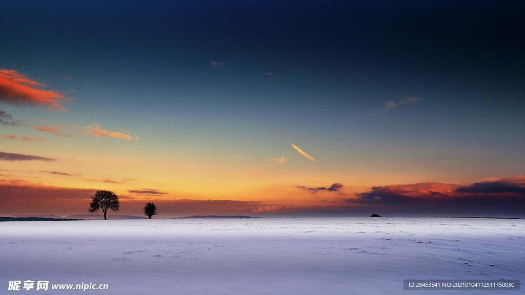 风景